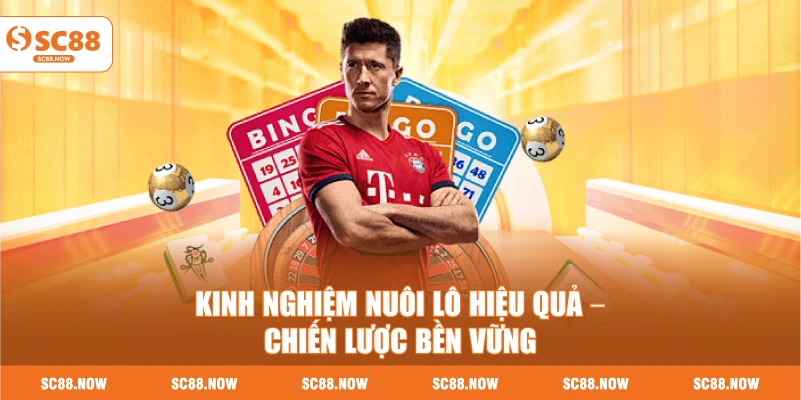 Kinh Nghiệm Nuôi Lô Hiệu Quả – Chiến Lược Bền Vững