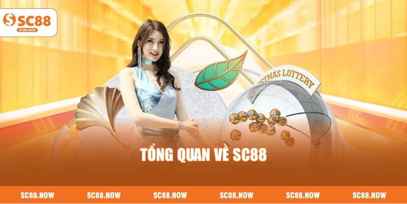 Tổng Quan Về SC88